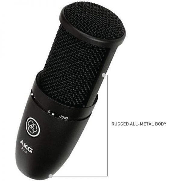 AKG P120 Cardioid Condenser Microphone - Image 2
