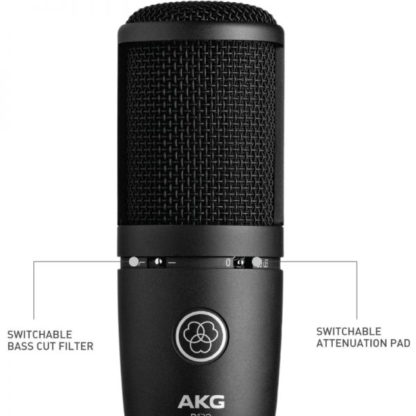 AKG P120 Cardioid Condenser Microphone - Image 3