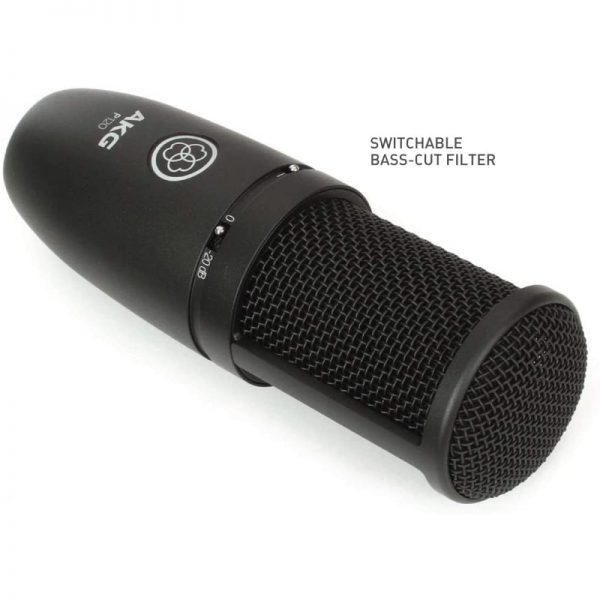 AKG P120 Cardioid Condenser Microphone - Image 4