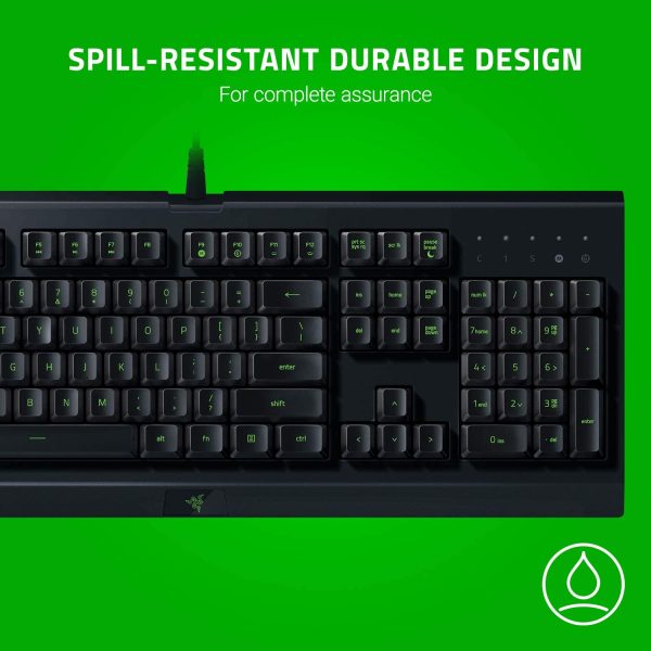 Razer Cynosa Lite Essential Membrane Gaming Keyboard - Image 4