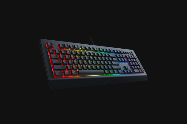 Razer Cynosa V2 Membrane Gaming Keyboard - Image 6